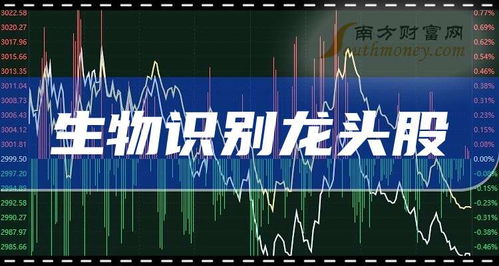 生物识别龙头企业前三名 2025年展望与技术开发服务解析